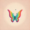 Schmetterling der Liebe