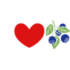 Myrtille, Fruits, Myrtille