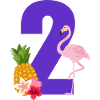 2e anniversaire flamingo