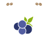 Blueberry, Fruit, Blueberry