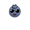 Blueberry, Fruit, Blueberry