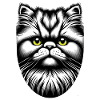 Cat Face