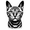 Petit chat mignon