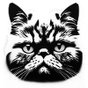 Round Pubby Cat Male