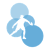 Pickleball bats Pickleball players