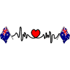 Herzfrequenz-Cardio-Flagge Australien