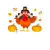 Turkey Saying
