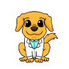 Doctor Dog Retriever