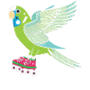 Budgie on roller skates