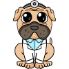 Docteur Chien Docteur Carlin