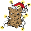 Chatons de Noël