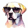 Cool Retriever