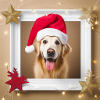 Goldie Christmas