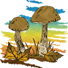 Fungi