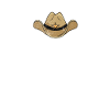 Cowboy