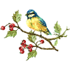 Bunter Vogel