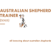 Dog Aussie Trainer Definiton