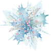 bluish holly branch with crystals