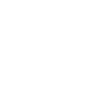 Spruch 1981
