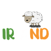 Moutons d’Irlande