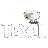 Sheep Texel (colourful version)
