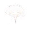 Black Hole Funnel in Space