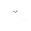 Chirpy Conversations Bird Whisperer Doodle