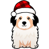 Dog with Santa hat
