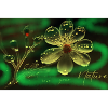Amour de la nature