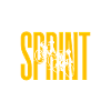 Sprint Silhouette Cycling Race