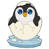 Baby Penguin Egg