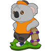 Koala Skater Skateboard Sport