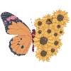 Butterfly Summer Sunflowers