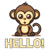 Hello! little cute monkey