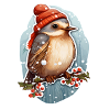 Bird in winter with cap
