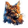 Maine Coon