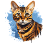 Chat du Bengale