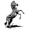 Zebra Rises
