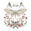 Aesthetic Cottagecore Fairycore Fairy Grunge Moon