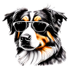 Australischer Schäferhund Hundehalter Hundewelpe