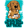 Rescue Dog Animal Shelter Adoption
