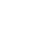 Roller Coaster