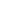 Roller Coaster