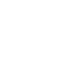 Roller Coaster