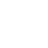 Roller Coaster