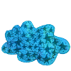 Star Cloud