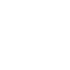 Roller Coaster