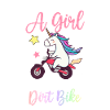 Dirt Biker
