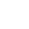 Roller coaster