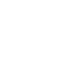 Roller coaster